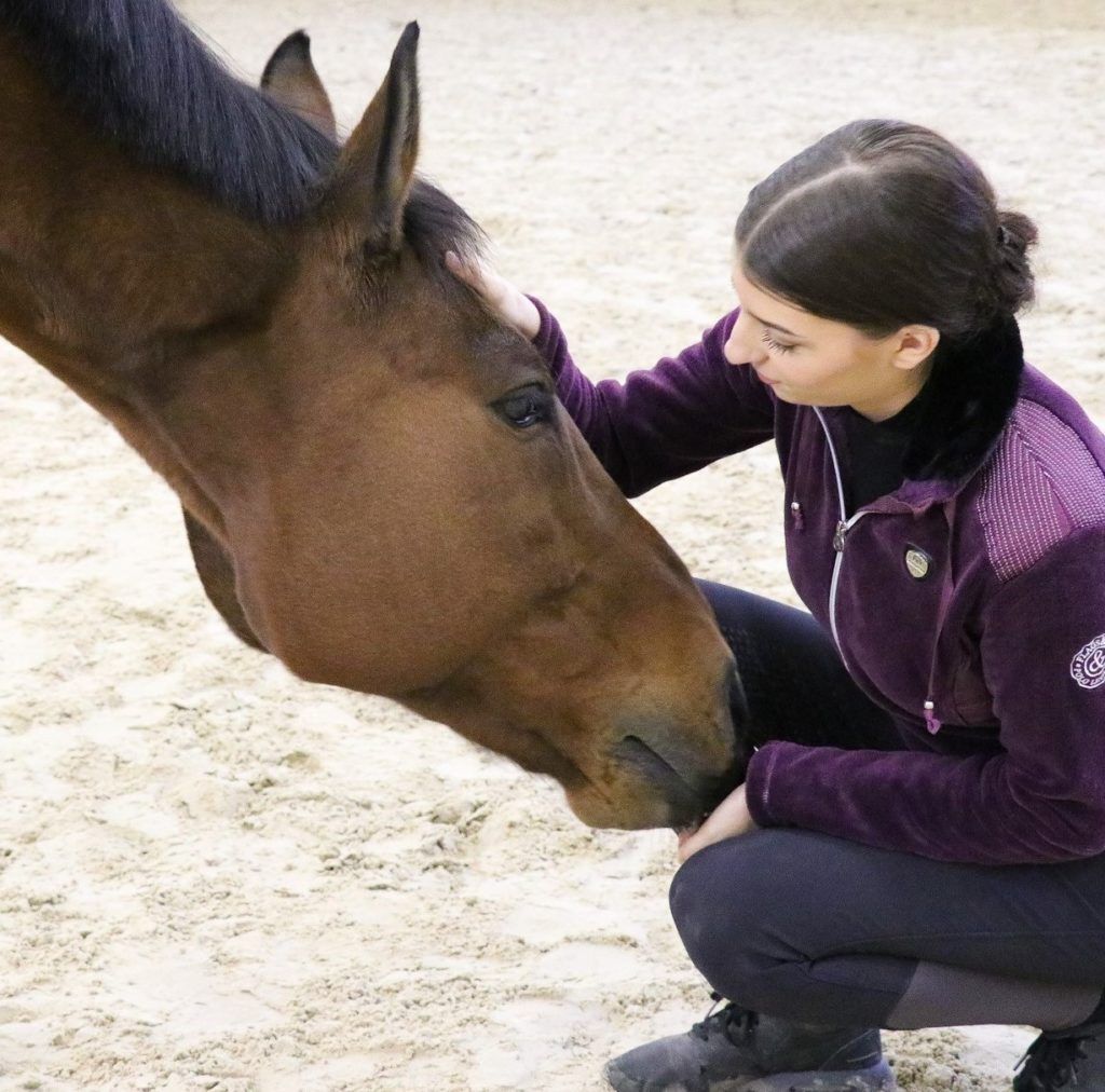 Relation homme cheval